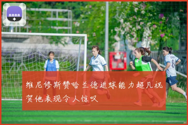维尼修斯赞哈兰德进球能力超凡祝贺他表现令人惊叹